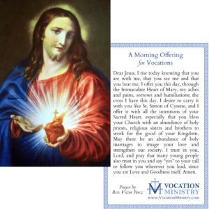 Prayer Card — A Morning Offering for Vocations (Pack of 50)